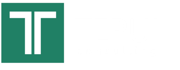 Tepui Consulting